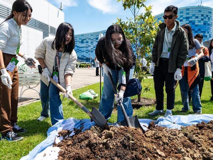 Школьники 14 государств заложили аллею магнолий в Сириусе