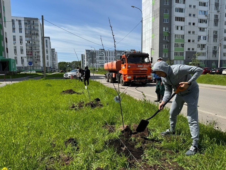 В Уфе появилась новая «Аллея Терры»