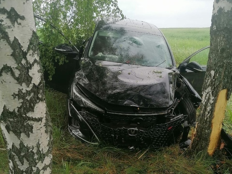 Легковушка слетела с трассы в Воронежской области