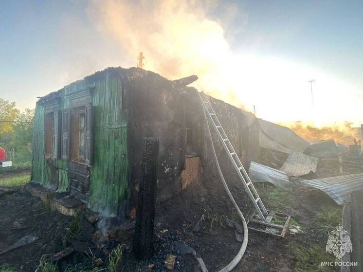 Пожилая женщина погибла при пожаре в Переволоцком районе