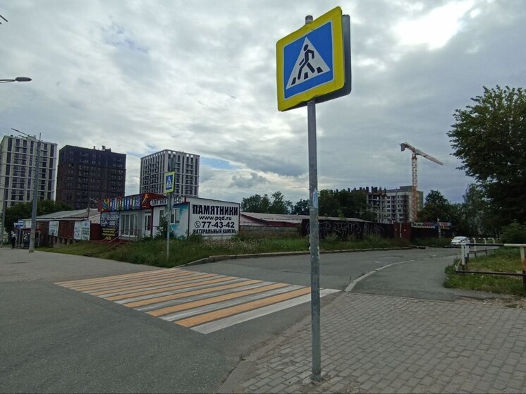 Петербургская Госавтоинспекция провела беседу с дерзким водителем