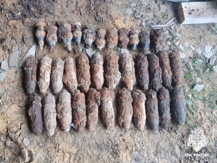 В Белгородской области за два дня ликвидировали 43 взрывоопасных предмета