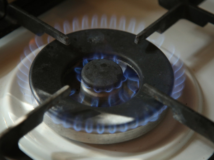 РИА Новости: Россия вошла в топ-2 стран Европы по доступности газа для населения