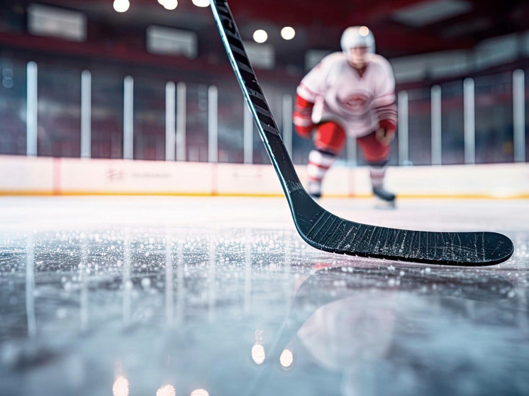 В Новосибирске зафиксировали рекорд посещаемости хоккейных матчей