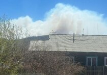 Жители поселка Вершино-Дарасунского Тунгокоченского округа Забайкальского края опасаются за свои дома из-за действующего неподалеку лесного пожара