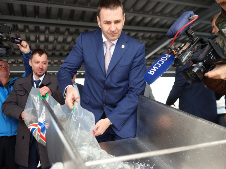 Молодь кеты и осетра выпустили в Амур в Хабаровском крае