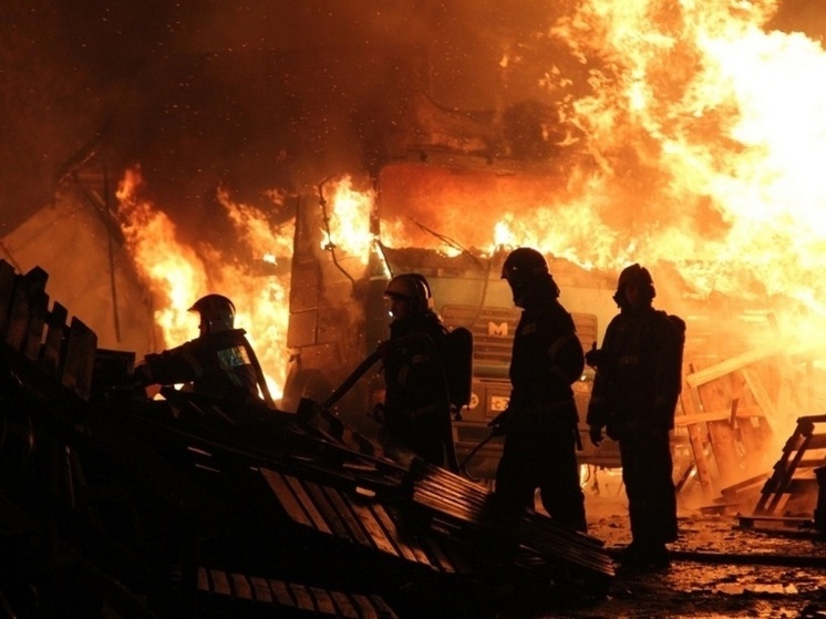 Два человека погибли в сгоревшей пилораме в воронежском Ямном