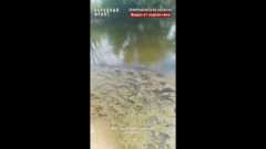 Купальный сезон в воронежском Острогожске может не начаться