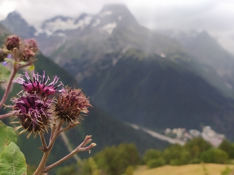 Ставропольский ученый опубликовал статью о будущем России и Северного Кавказа