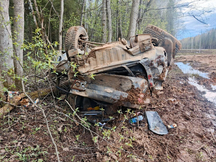 Водитель погиб, три пассажира попали в больницу после ДТП под Соколом