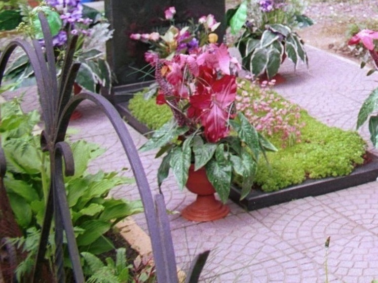 В Благовещенске неизвестные жарили шашлыки и поставили шалаши у могил