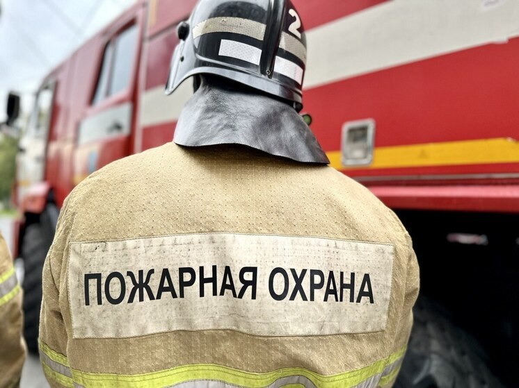 На месте пожара в дачном кооперативе под Рязанью обнаружили труп