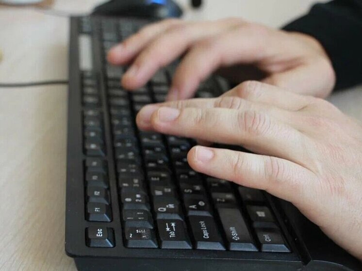 На Кубани число вакансий в IT-сфере уменьшилось на 16% с января по апрель