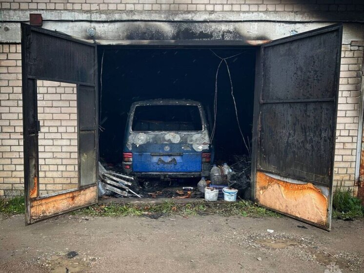 20 голов скота спасли пожарные в Стругах Красных