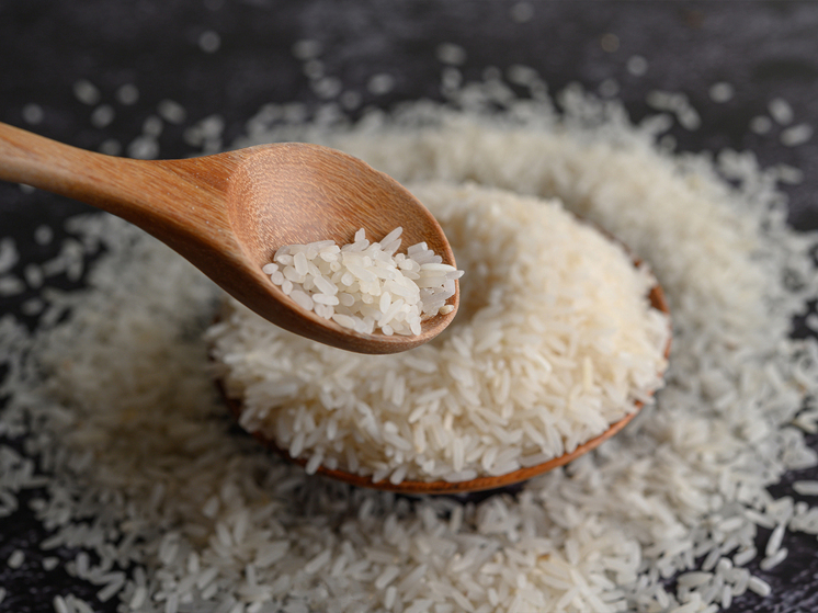 Глава Минсельхоза Японии извинился за слова о бесплатном рисе на фоне кризиса