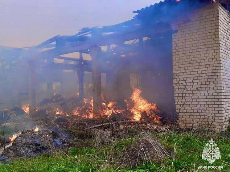 В селе в Тверской области горел ангар с сеном
