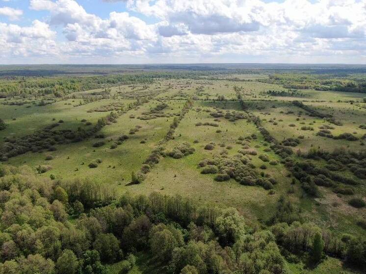 В Порецком округе Россельхознадзор выявил тысячи гектаров неухоженной земли