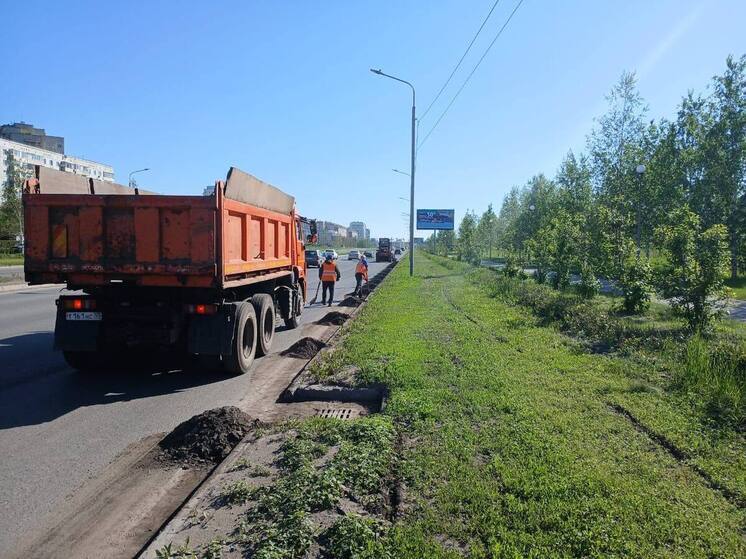 С омских улиц вывезено свыше 1600 тонн грунта с начала весенней уборки