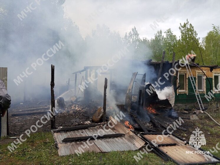 17 пожаров потушили на Брянщине за выходные