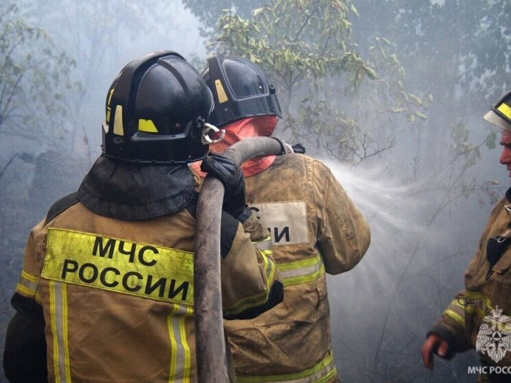 В Самаре эвакуировали 960 детей из школы №91 из-за ложной тревоги 19 мая