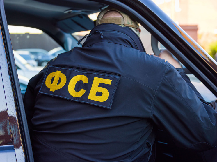 Житель Челябинской области осужден за пропаганду терроризма в интернете