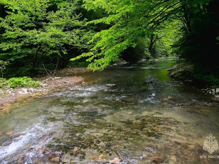 Сочинские спасатели помогли заблудившимся туристам в Агурском ущелье