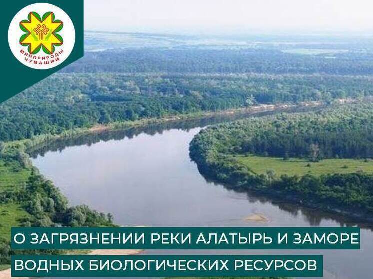 Власти проверяют сообщения о гибели рыбы в реке Алатырь: пробы взяты