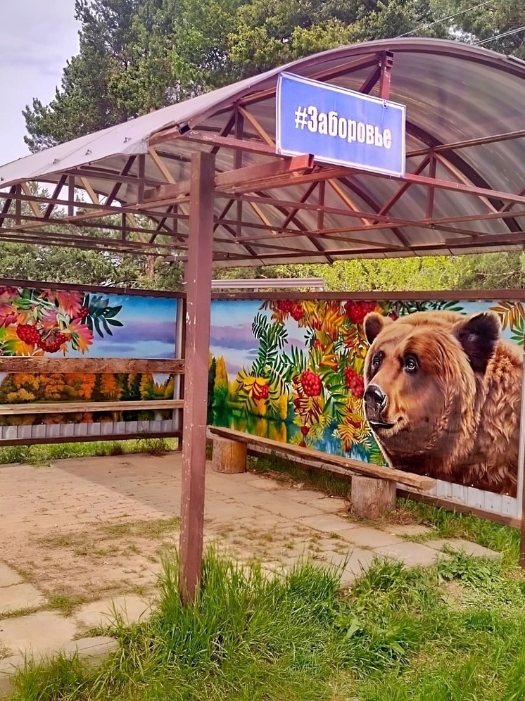 На остановке под Тверью появился медведь