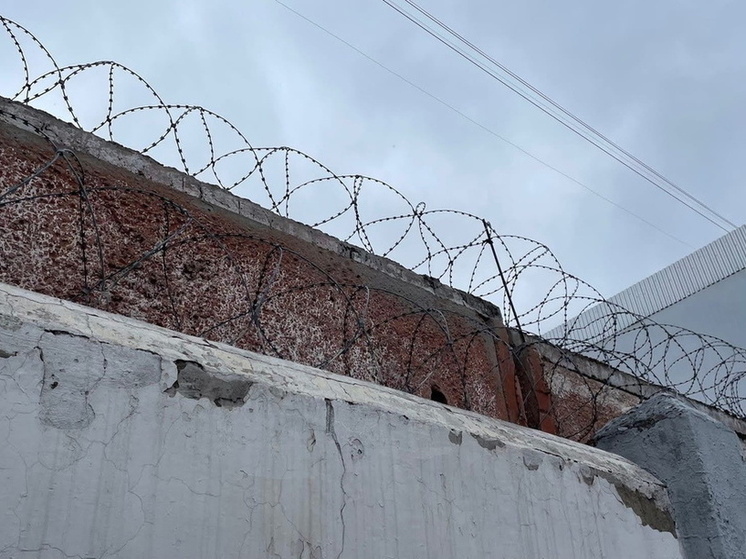 Житель Омска получил 17 лет за помощь террористам