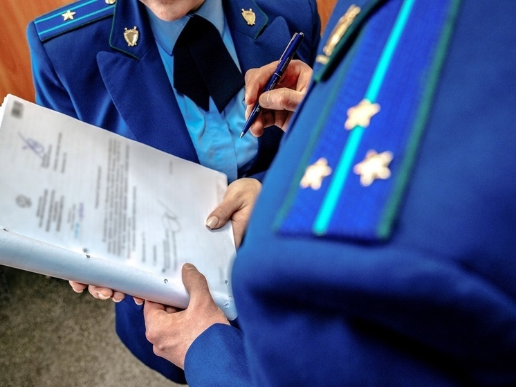 Жительница Тверской области пожаловалась в прокуратуру на опасный гнилой столб рядом с домом