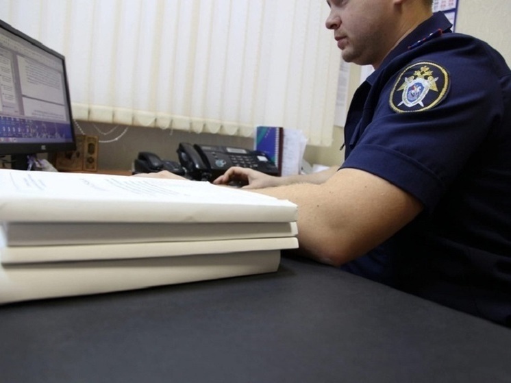 В Лебедянском районе возбужденно уголовное дело после находки человеческих останков