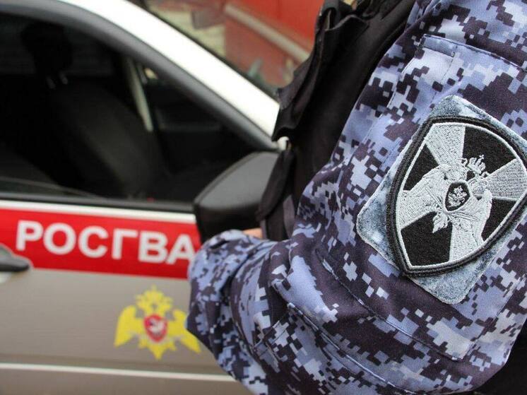 Подозреваемого в краже задержали росгвардейцы в Подмосковье