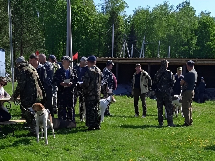 В Канаше прошла 66-я выставка охотничьих собак: 48 участников