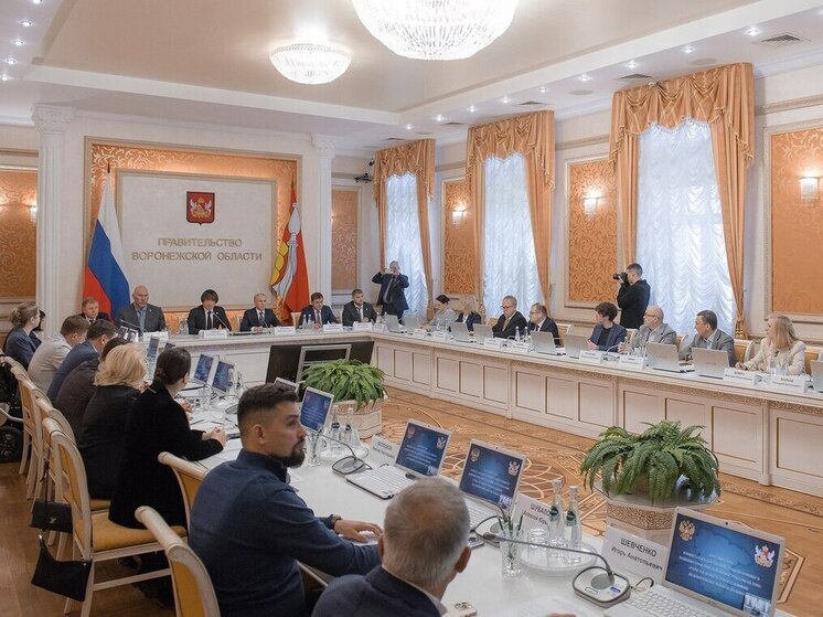 Председатель Воронежской облдумы поучаствовал в заседании круглого стола комитета Госдумы по туризму