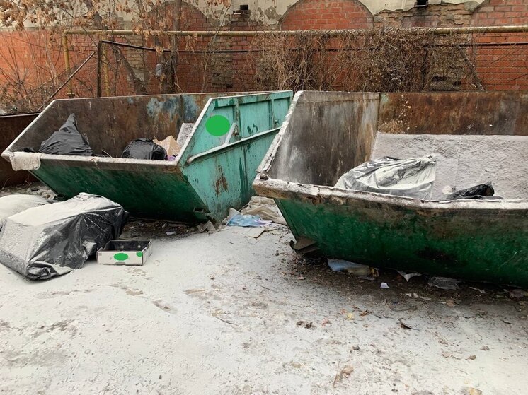В Пензенской области оштрафован директор компании за незаконную свалку мусора