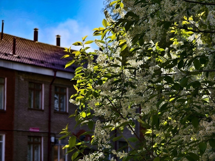 Томские синоптики раскрыли прогноз погоды на последние дни мая