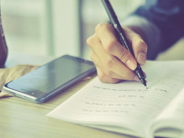 Юные жители Марий Эл увлеклись садоводством