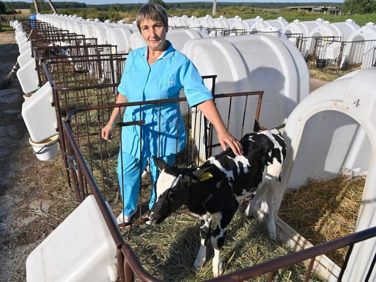 Губернатор утроил вложения в развитие калужских деревень