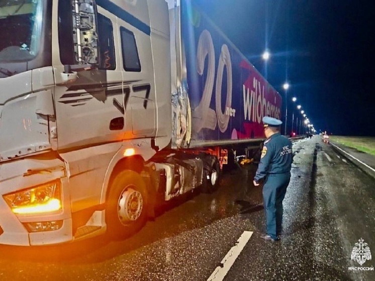 Смертельное ДТП с маршруткой из Волгограда прокомментировали в Wildberries