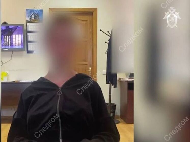 СК показал кадры с признанием 14-летней жительницы Бердянска в убийстве девочки