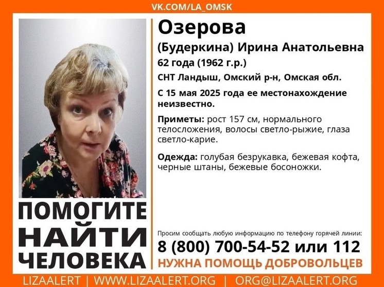 Водителей просят о помощи: продолжаются поиски пропавшей под Омском пенсионерки