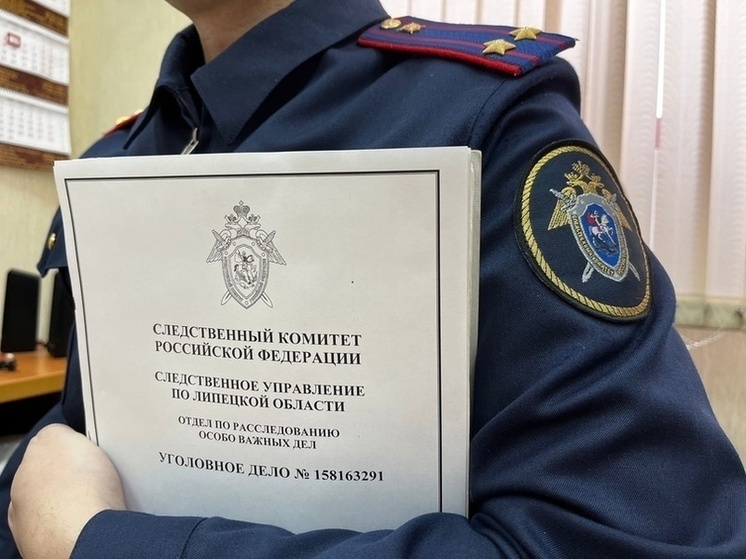 Жителя Липецкой области будут судить за попытку дать взятку инспекторам ДПС