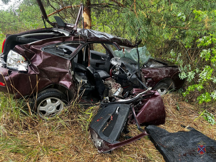  В Волгоградской области «Лада» врезалась в дерево, пострадали 2 человека