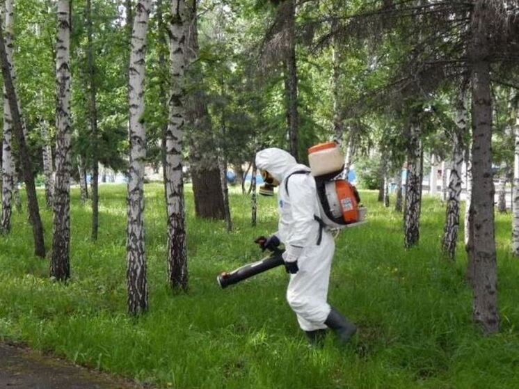В Костроме завершили первый этап акарицидной обработки городских территорий