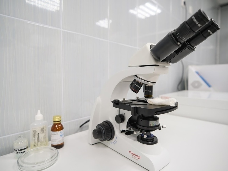  Волгоградские ученые работают над созданием средства от эпилепсии