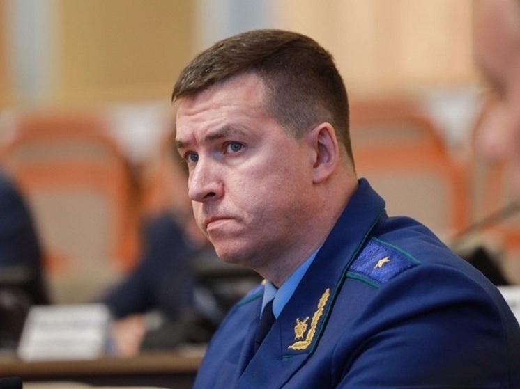 Многодетная семья в Липецкой области поставлена на учет для получения земельного участка