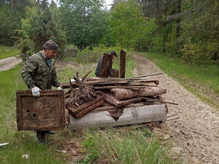 В Курской области ликвидировали четыре несанкционированные свалки