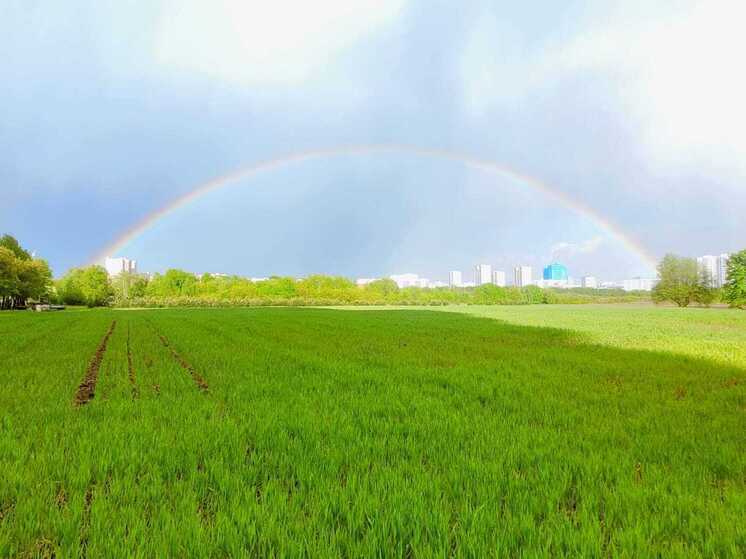 Купальница: традиции и приметы 20 мая