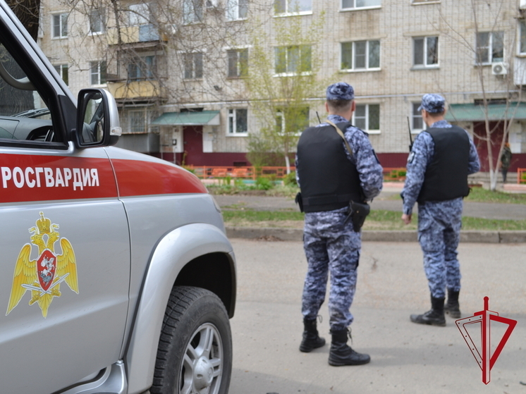 В ЕАО пьяный водитель выполнял на авто непредсказуемые маневры