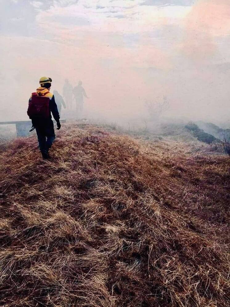 В Бурятии ликвидированы крупные лесные пожары, но борьба с огнём продолжается